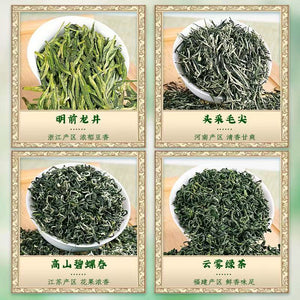 Four major green teas Longjing tea Maojian Biluochun cloud mist green tea new tea canned tea gift box 500g