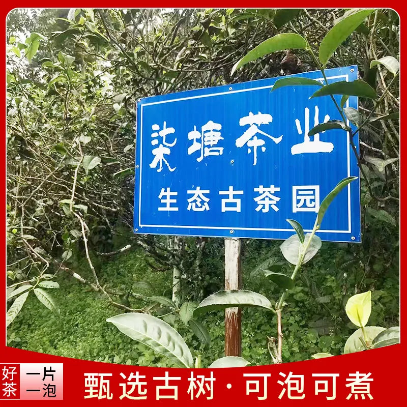 Authentic Yunnan Ancient Tree Pu'er White Tea, Honey-Scented Compressed Tea Slices, Independent Bagged, Exquisite Gift Box, Loose Leaf Tea