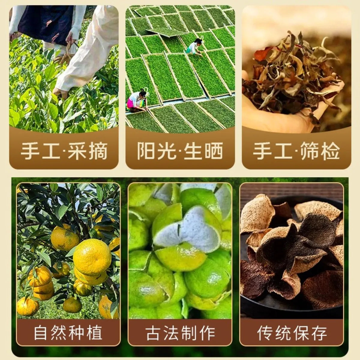 Tangerine Peel White Tea, Gongmei from 2016, Xinhui Tangerine Peel, Small Gold Bars of Tangerine Peel White Tea, Fuding White Tea, Aged for 7 Years