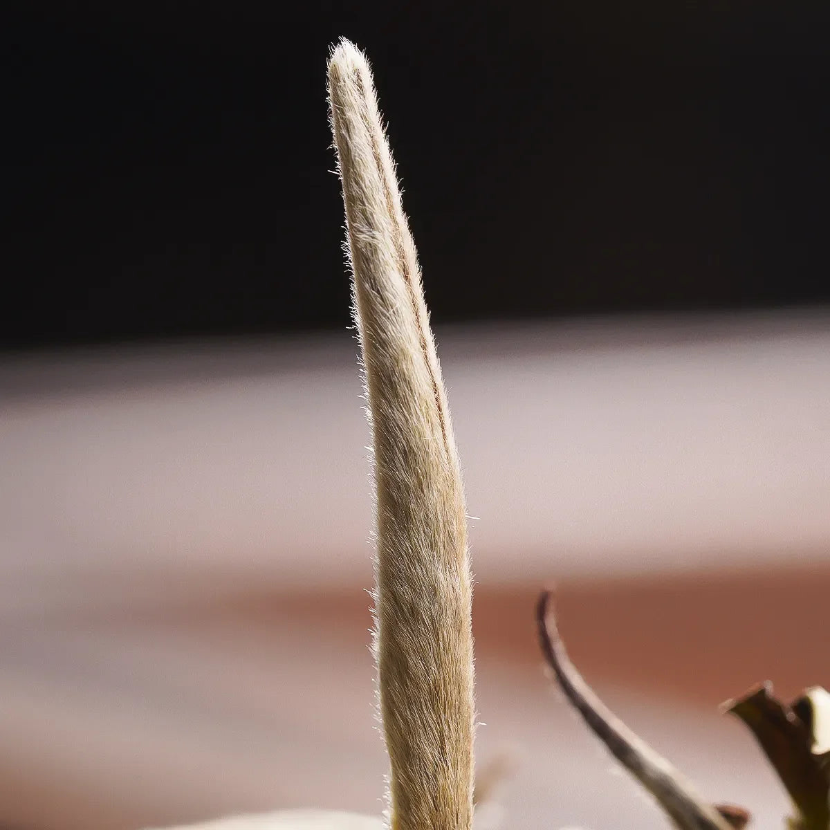 Authentic Premium Baihao Yinzhen, 18 Small Cans of Tea, Buds Before the Pure Brightness Festival, Fuding White Tea, High-End Gift Box